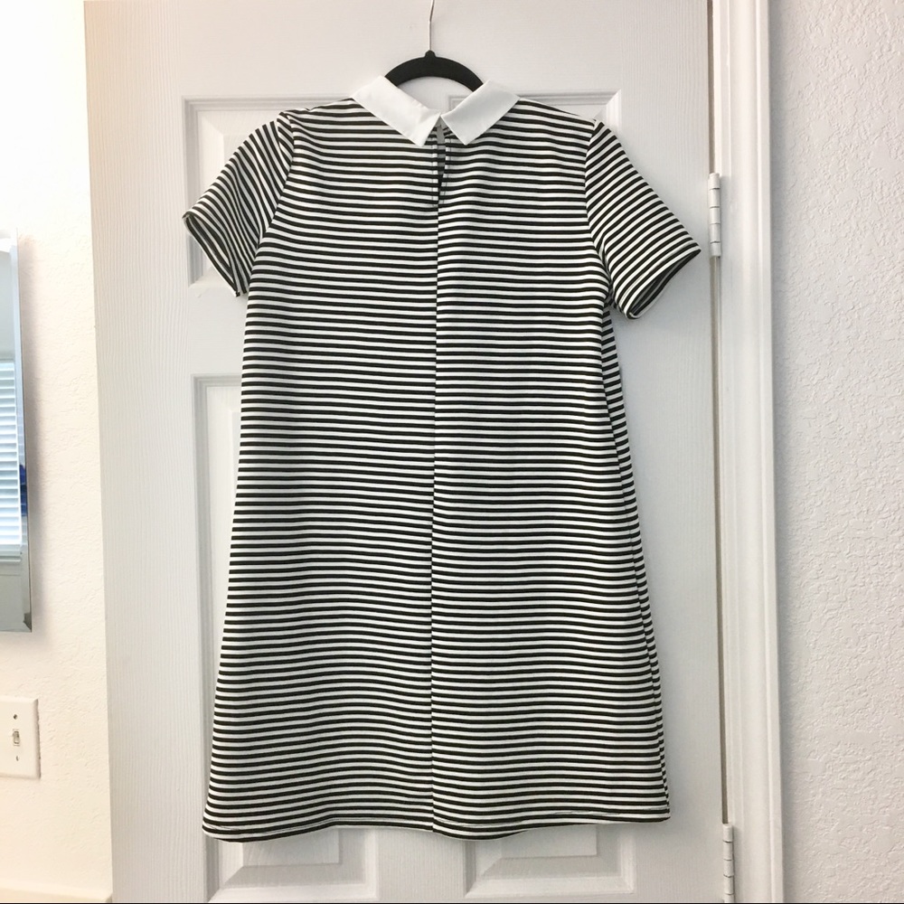 Zara Collar Dress - Black & While - Small - Picture 4 of 6